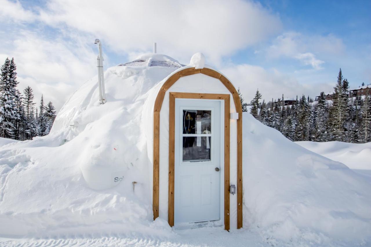 Imago Village Saint-David-de-Falardeau Ngoại thất bức ảnh