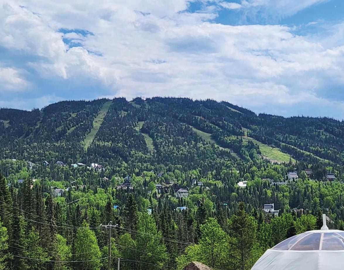 Imago Village Saint-David-de-Falardeau Ngoại thất bức ảnh