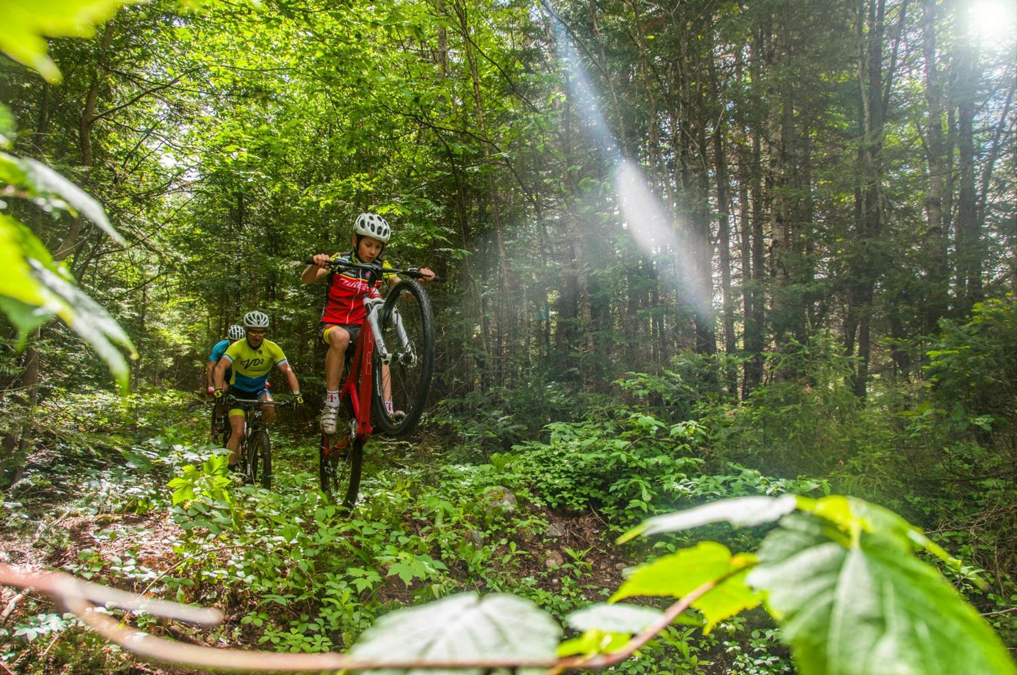 Imago Village Saint-David-de-Falardeau Ngoại thất bức ảnh
