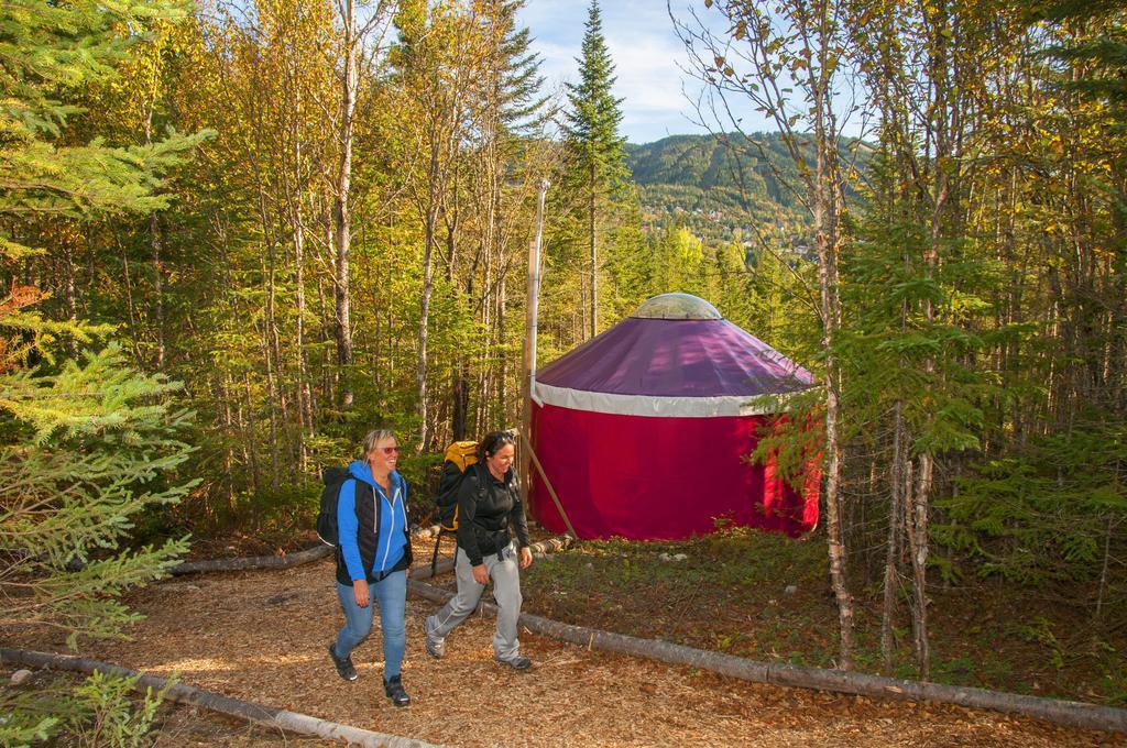 Imago Village Saint-David-de-Falardeau Ngoại thất bức ảnh